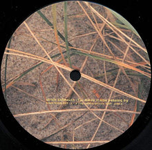 Load image into Gallery viewer, Ulrich Schnauss : Far Away Trains Passing By (LP, Album)