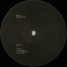 Load image into Gallery viewer, Acronym : Entagled In Vines (2x12", EP)