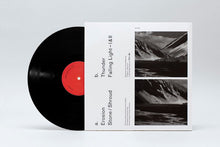 Load image into Gallery viewer, Sunny Graves : Erosion EP (12", EP)