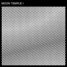 Load image into Gallery viewer, Moon Temple : Moon Temple I (12")