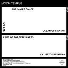 Load image into Gallery viewer, Moon Temple : Moon Temple II (12")