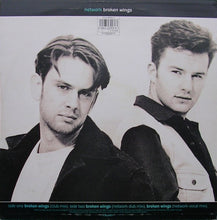 Load image into Gallery viewer, Network (5) : Broken Wings (12")