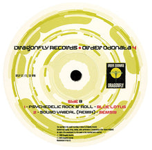Load image into Gallery viewer, Various : Order Odonata 4 (2xLP, Comp)