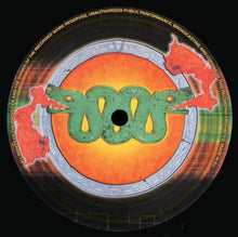 Load image into Gallery viewer, Four Carry Nuts : Bausubstanz (12")