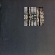 Load image into Gallery viewer, Modeste : Absurd Memories (2xLP, Album)