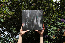 Load image into Gallery viewer, Pjoni : Liminal Zones (12")