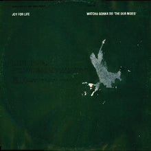 Load image into Gallery viewer, Joy For Life : Watcha Gonna Do (The Dub Mixes) (12")
