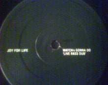 Load image into Gallery viewer, Joy For Life : Watcha Gonna Do (The Dub Mixes) (12")