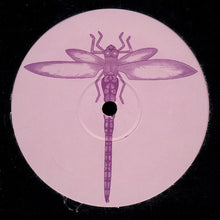Load image into Gallery viewer, Kaaya : Braindance / Ormazd (12")