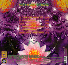 Load image into Gallery viewer, Space Tribe : The Future's Right Now (2x12", Album)