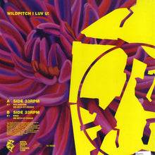 Load image into Gallery viewer, Âme : Balandine EP (12", EP)