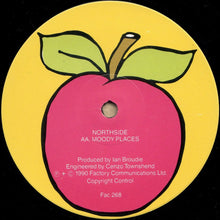 Load image into Gallery viewer, Northside (2) : Shall We Take A Trip / Moody Places (12", Single)