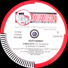 Load image into Gallery viewer, Scott Barkey : Hybrid Keys (12")