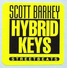 Load image into Gallery viewer, Scott Barkey : Hybrid Keys (12")