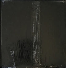 Load image into Gallery viewer, Busta Rhymes : Put Your Hands Where My Eyes Could See (12")