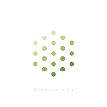 Load image into Gallery viewer, LSB (3) : Missing You / Tumult (12", Single)