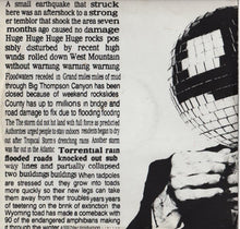 Load image into Gallery viewer, A Bass Day : 20 (12")