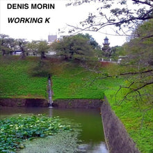 Load image into Gallery viewer, Denis Morin : Working K (12", EP, Ltd, 180)