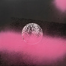 Load image into Gallery viewer, Hardworking Families (2) : Hardworking Families 002 (12", W/Lbl)