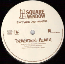 Load image into Gallery viewer, Square Window : Don't Walk Just Wander (12")