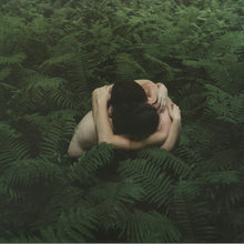 Load image into Gallery viewer, Panoram : The Question (12", EP)