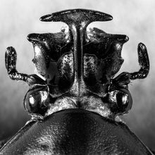 Load image into Gallery viewer, Various : EXO3 (2x12", Comp)