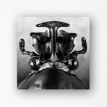 Load image into Gallery viewer, Various : EXO3 (2x12", Comp)