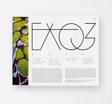 Load image into Gallery viewer, Various : EXO3 (2x12", Comp)