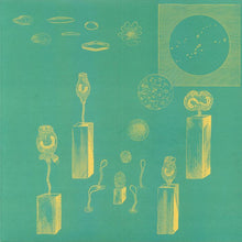 Load image into Gallery viewer, Bear Bones, Lay Low : Atlantean Encrypted Message (12", EP)