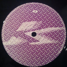 Load image into Gallery viewer, Tiny Stars : Capricorn One (12")