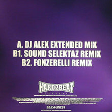 Load image into Gallery viewer, Basshunter : Now You're Gone (12")