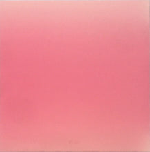 Load image into Gallery viewer, Greenvision : Rambutan (12", EP)