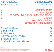 Load image into Gallery viewer, King Ende Shneafliet : Dimension Mix 01 (LP)