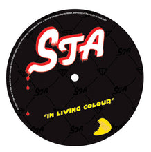 Load image into Gallery viewer, Sta (2) : In Living Colour (12")