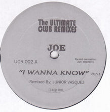 Load image into Gallery viewer, Various : The Ultimate Club Remixes (12", Unofficial)