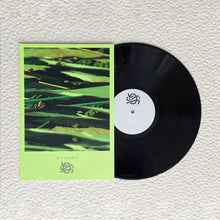 Load image into Gallery viewer, Jbs : 4 Colours (12", Ltd, W/Lbl, Han)