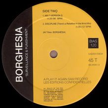 Load image into Gallery viewer, Borghesia : Surveillance And Punishment (12", EP)