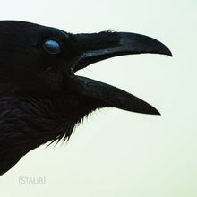 Load image into Gallery viewer, Various : Staub 004 (12", EP, Spl)