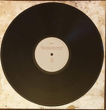 Load image into Gallery viewer, D'Marc Cantu x Danny Passarella : The Future Has A Silver Lining (12")