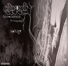 Load image into Gallery viewer, Cloud : Innocence (12")