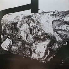 Load image into Gallery viewer, Gardens Of God : El Zero (12")