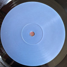 Load image into Gallery viewer, Fede Lng : Flight Mode EP (12", EP)