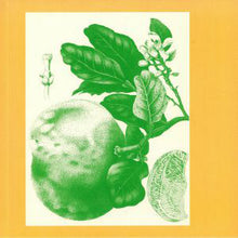 Load image into Gallery viewer, Sunny Balm : Eucalypt (LP, Album, Ltd)