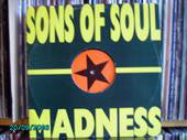 Load image into Gallery viewer, Sons Of Soul : Madness (12")