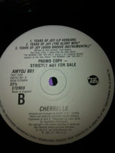 Load image into Gallery viewer, Cherrelle : Tears Of Joy (12", Promo)