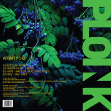 Load image into Gallery viewer, Roeglin, Fraunhofer, HndS, Priq : Affinity 1 EP (12", EP)