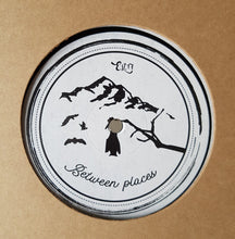 Load image into Gallery viewer, Galaxy87 : Landing On Mars (12")