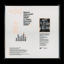 Load image into Gallery viewer, Dman* + Roger 23 : 222 (LP, col)