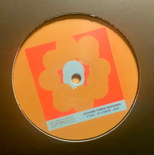 Load image into Gallery viewer, Garies : In Bits (12", EP)