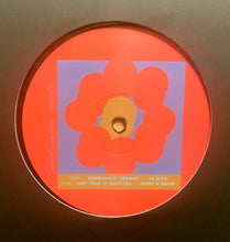 Load image into Gallery viewer, Garies : In Bits (12", EP)